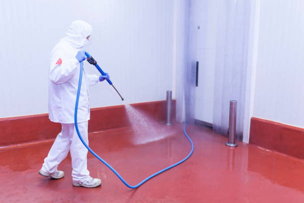 Best Restaurant Pressure Washing  in Green Village, NJ