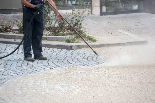 Animal Enclosure Cleaning in Green Village, NJ